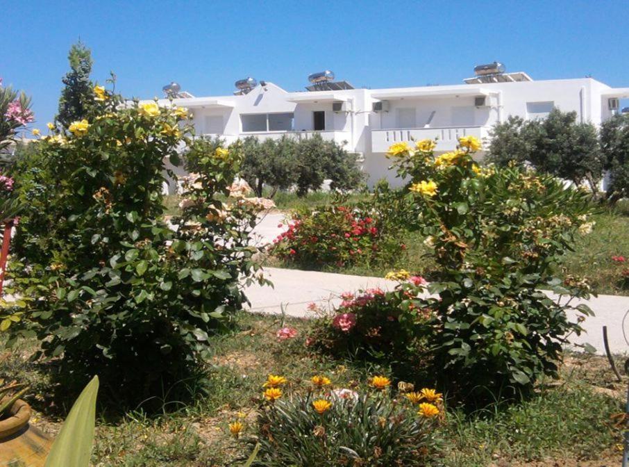 Nikos 2 Studios & Apartments Kardamena  Bilik gambar